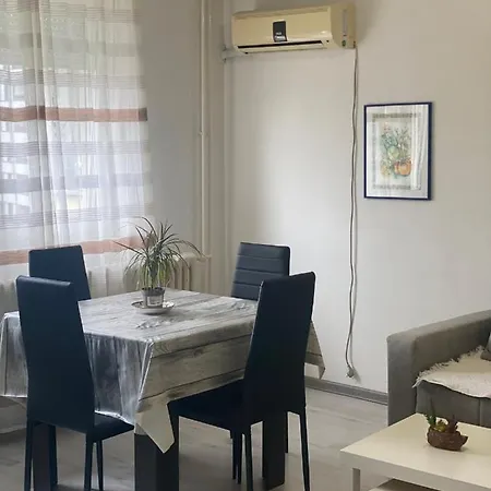 Apartment Pap Center Loft, Garazno Mesto